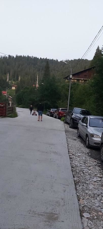 Гостевой дом Vila Visinica Предял-37