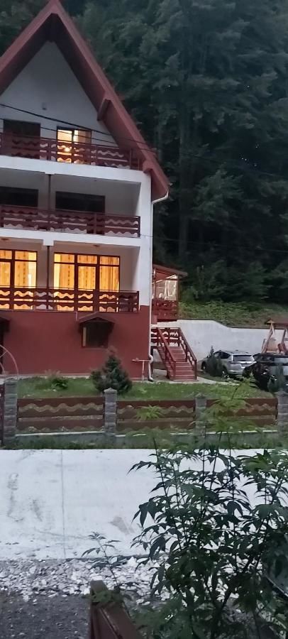 Гостевой дом Vila Visinica Предял-38