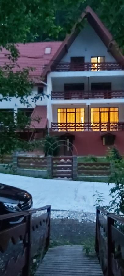 Гостевой дом Vila Visinica Предял-39