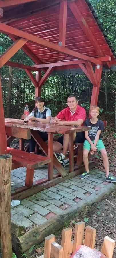 Гостевой дом Vila Visinica Предял-45